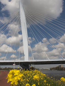 818232 Gezicht op de Prins Clausbrug over het Amsterdam-Rijnkanaal te Utrecht.